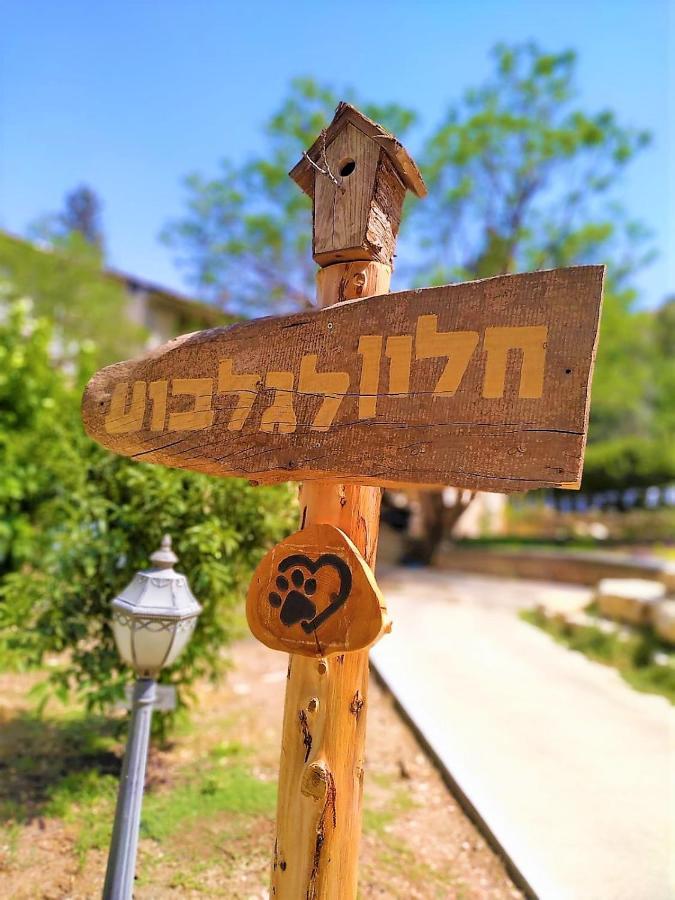 חלון לגלבוע צימר בוטיק בעמק המעיינות Bet Alfa Exterior foto