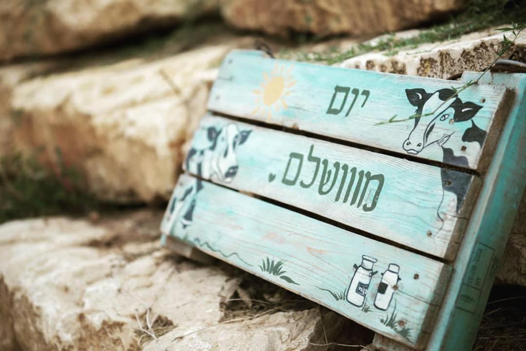 חלון לגלבוע צימר בוטיק בעמק המעיינות Bet Alfa Exterior foto